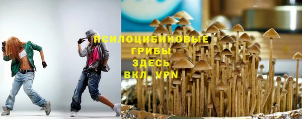 гашик Верхний Тагил