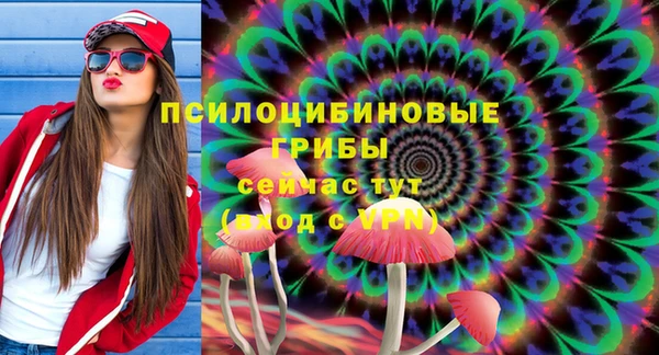 гашик Верхний Тагил