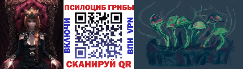 darknet наркотические препараты  Геленджик  Галлюциногенные грибы MAGIC MUSHROOMS 